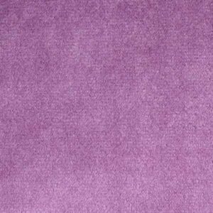 San-Marino_lilac