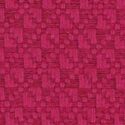 TPARTY020-RASPBERRY