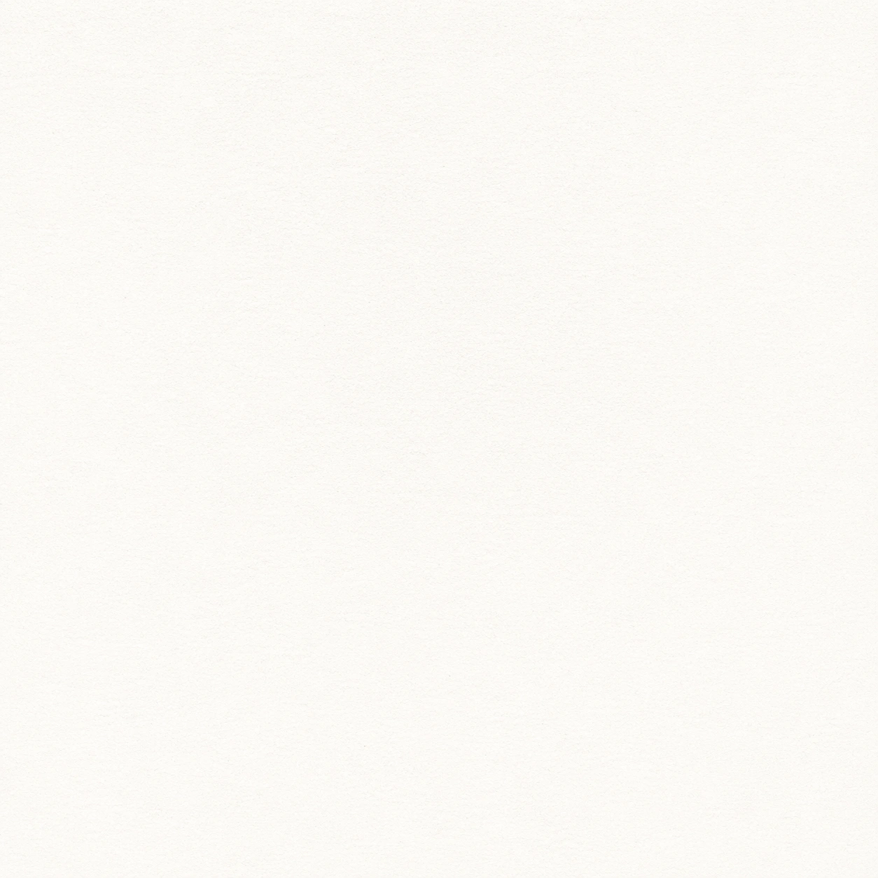 ESSENTIALS 40 | BAKSHI | DAISY | VELVET | 112207