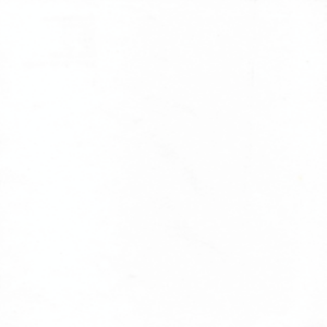 Essentials 40 | Bakshi | Parchment | Velvet | 112345