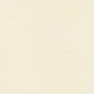 Essentials 40 | Bakshi | Papyrus | Velvet | 112306