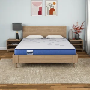 Nilkamal Deep Sleep REVIBE