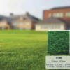 Aarambh Artificial Grass Landscape  Roll 1.00 m × 25 m