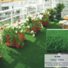 Aarambh Artificial Grass Landscape  Roll 1.20 m × 25 m