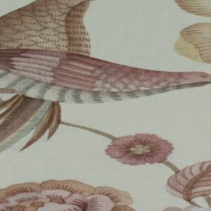 Paradiso Paradiso Blush