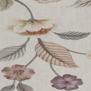 Paradiso Paradiso Lavender