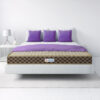 Sleepwell Pro FitRest Classic