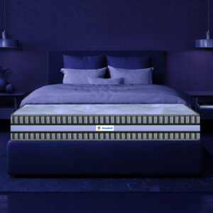 Sleepwell Pro Latex Plus Royale