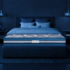Sleepwell Pro Nexa Royale