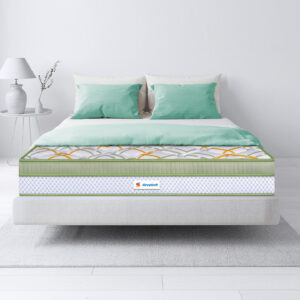 Sleepwell Pro Spinetech Premium