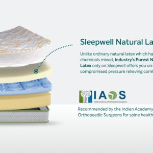 Sleepwell Pro Spinetech Classic