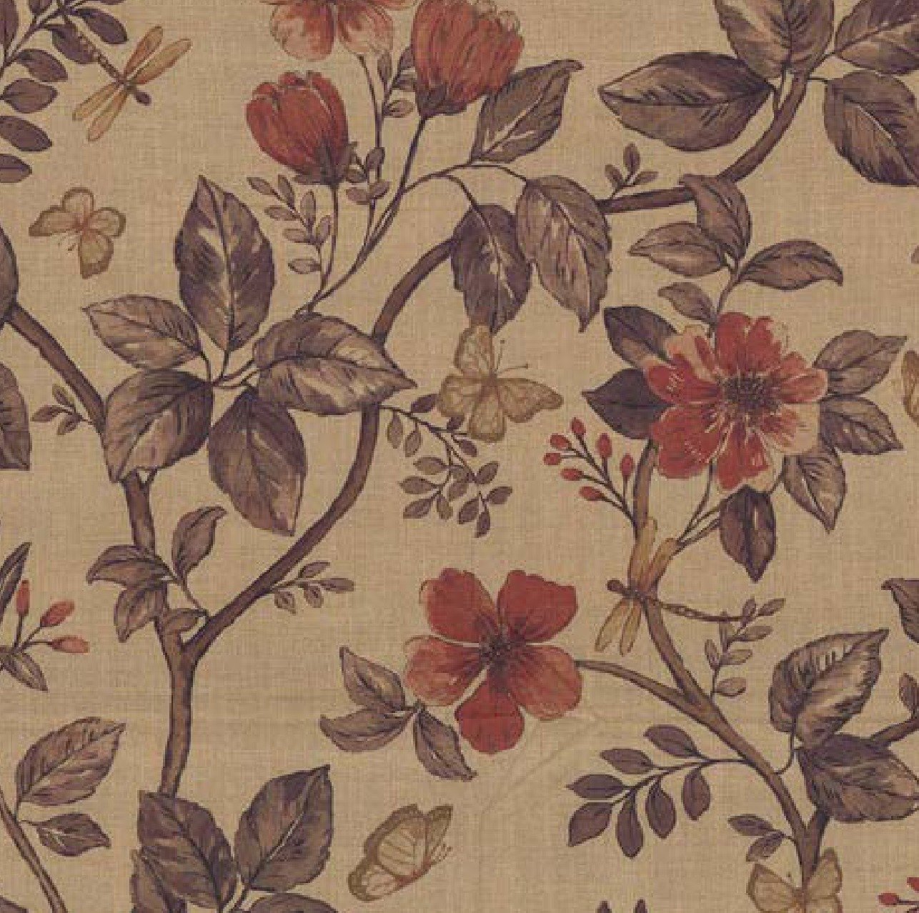 BADARA | AMRA | 113508