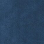 Arjuna BAKSHI Fabric