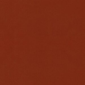 Arjuna BAKSHI Fabric