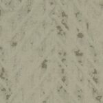 Asmara ASMARA Fabric