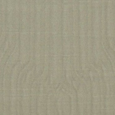 MYSTRA | MUSHROOM | RR-1006