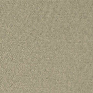 NIMBA | CORN | RR-1012