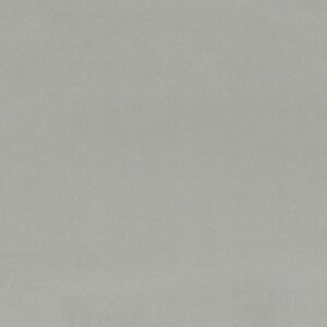 AUSTIN CHAMBERRY Fabric