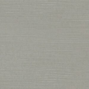 AUSTIN CRYPTIC Fabric