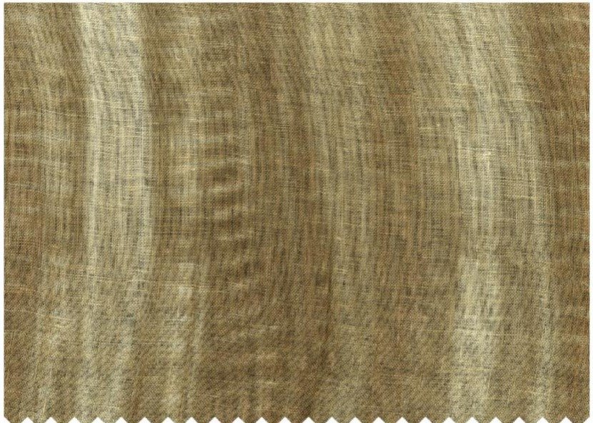 Aakriti | Harda | 103411