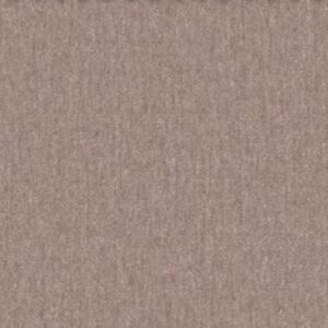 Day Dreamers AUTUMN Fabric