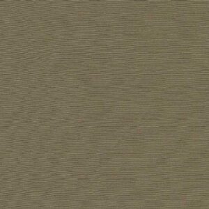 Essentials 39 AIROLI Fabric