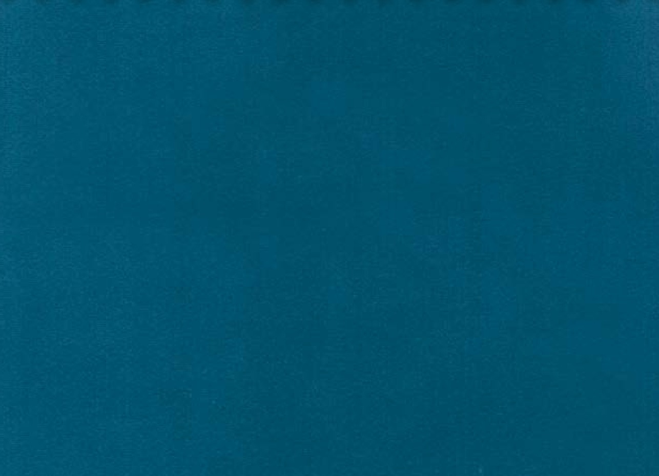 Essentials 40 BAKSHI Fabric