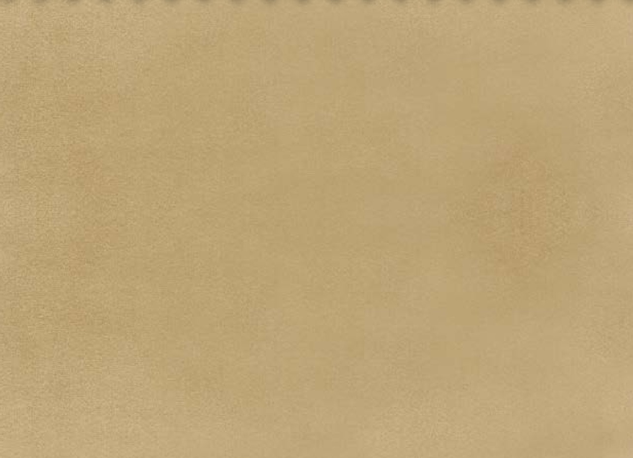 Essentials 40 BAKSHI Fabric