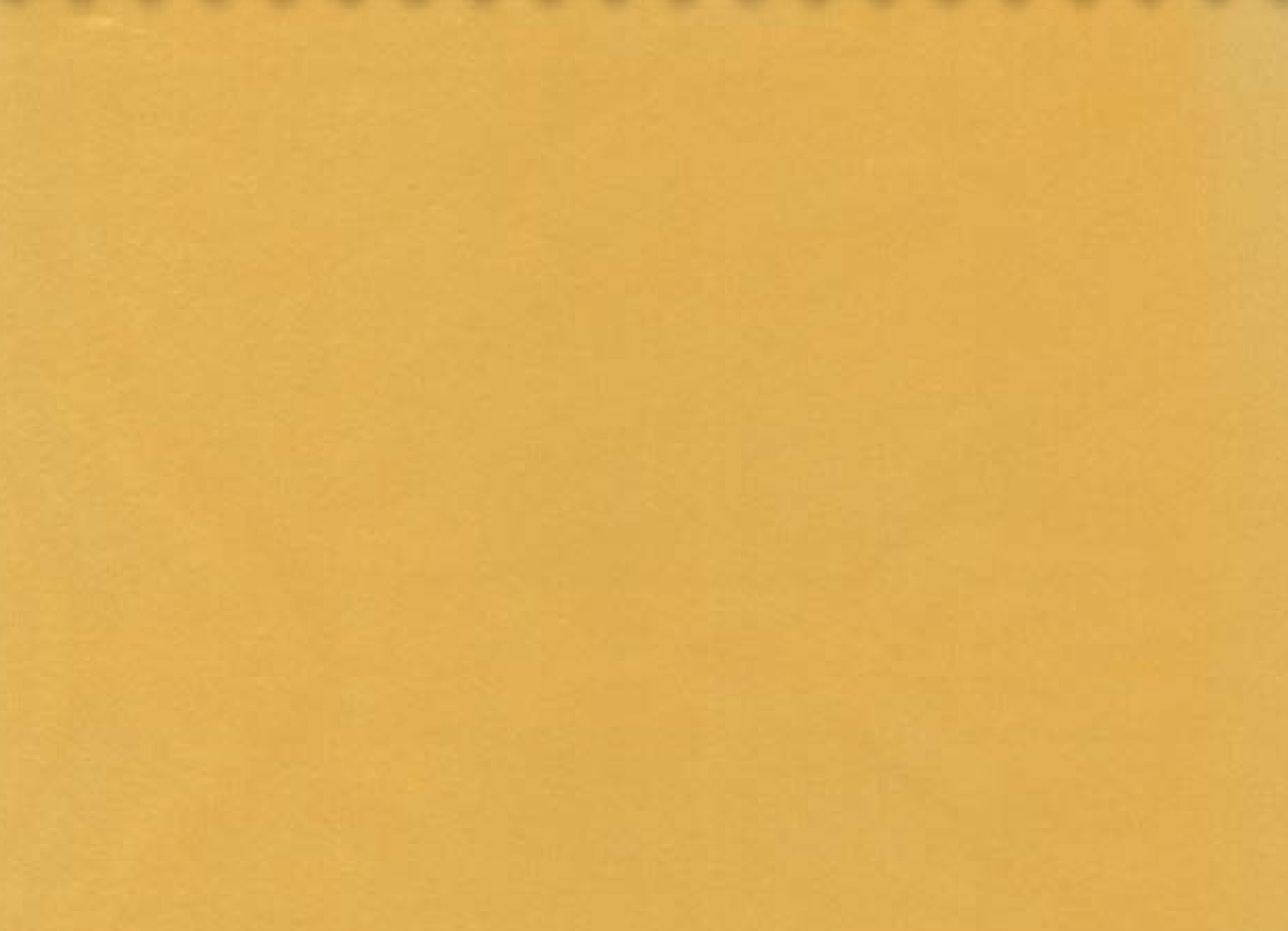 Essentials 40 BAKSHI Fabric