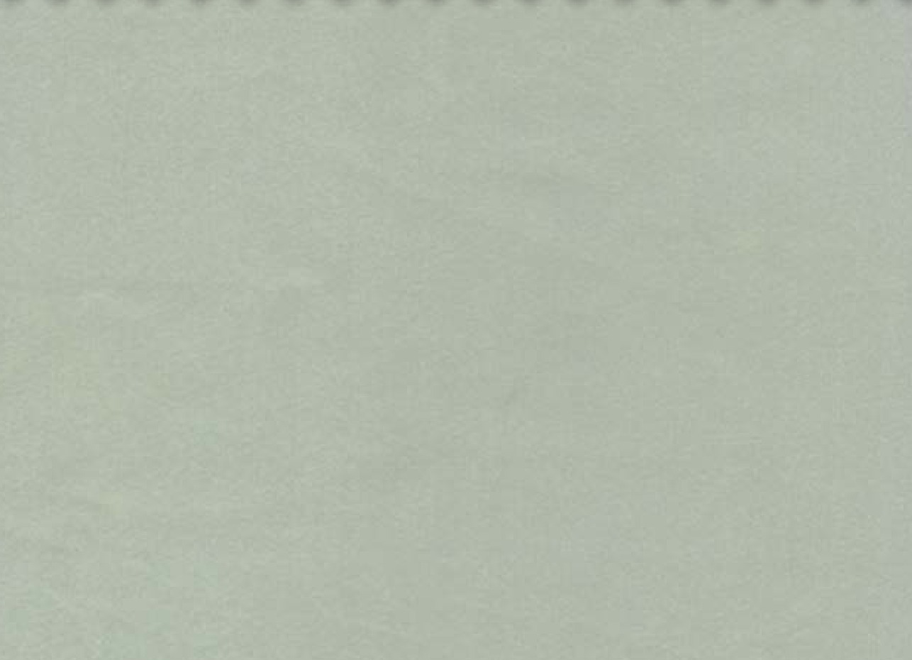 Essentials 40 BAKSHI Fabric