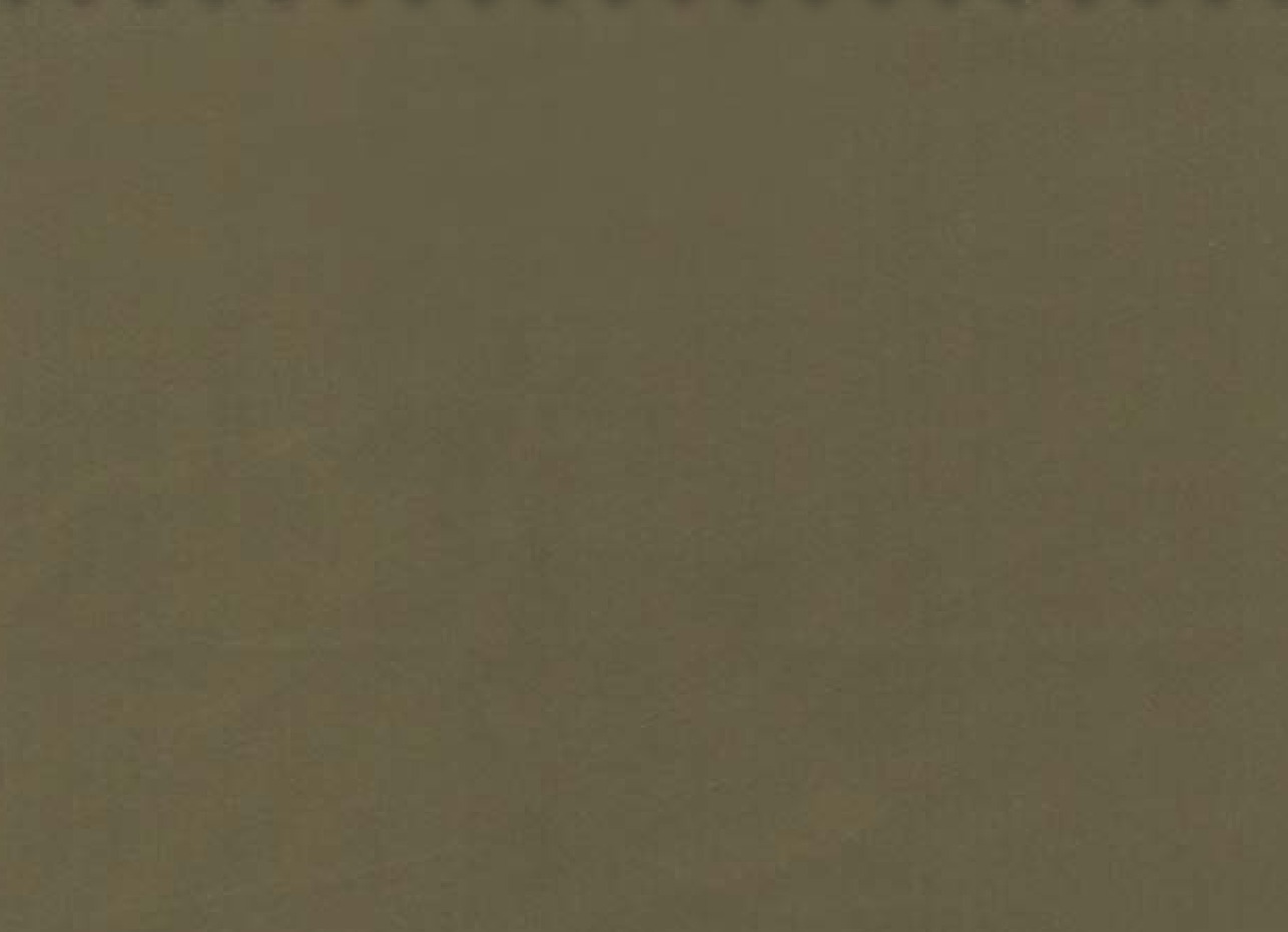 Essentials 40 BAKSHI Fabric