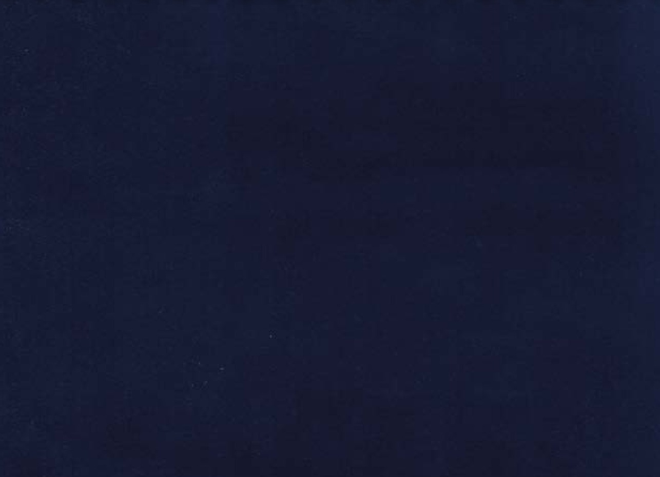 Essentials 40 BAKSHI Fabric