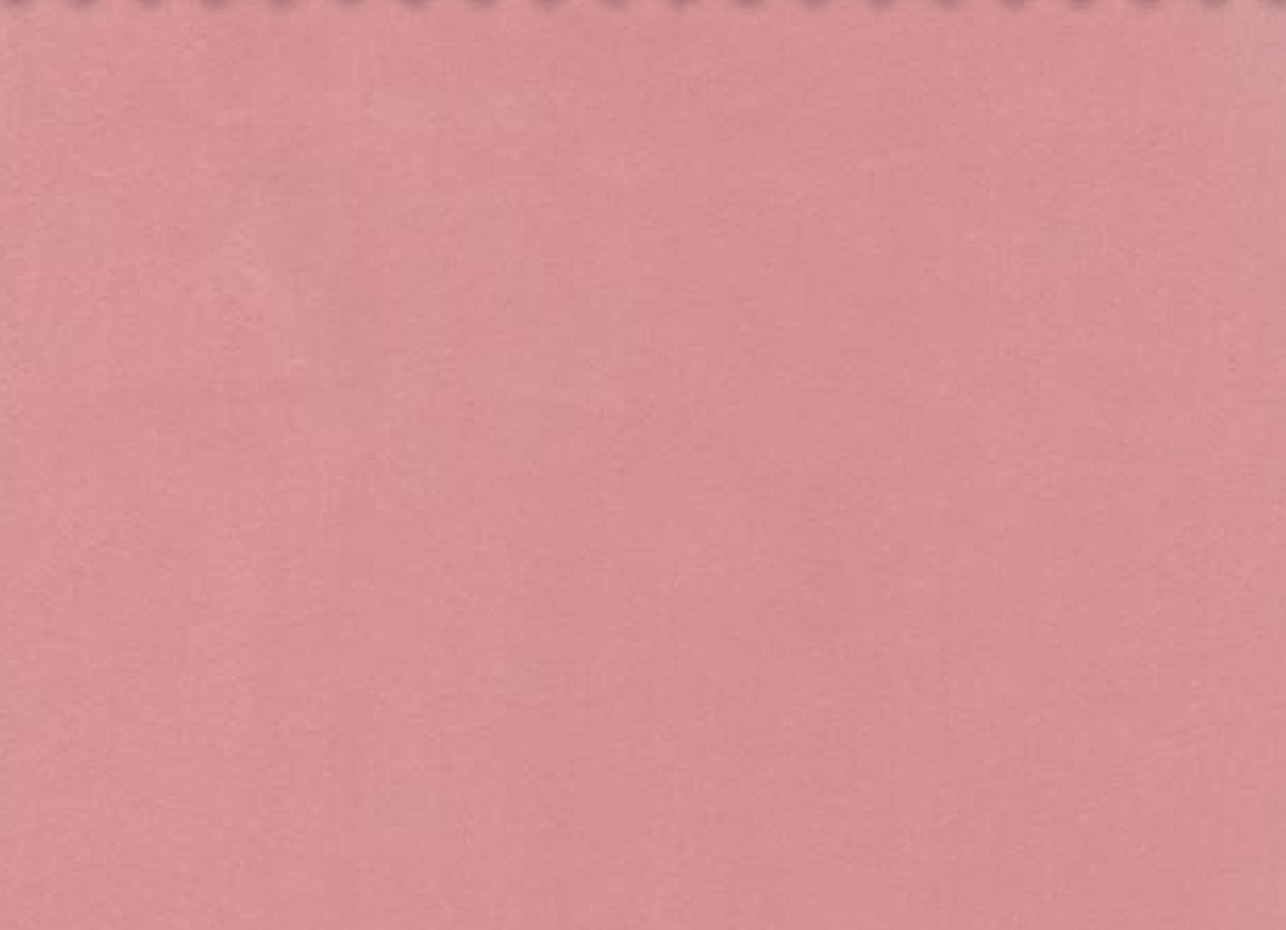 Essentials 40 BAKSHI Fabric