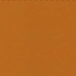 Essentials 40 BAKSHI Fabric