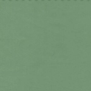 Essentials 40 BAKSHI Fabric