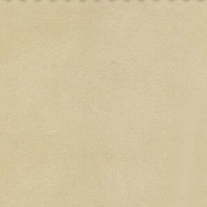 Essentials 40 BAKSHI Fabric