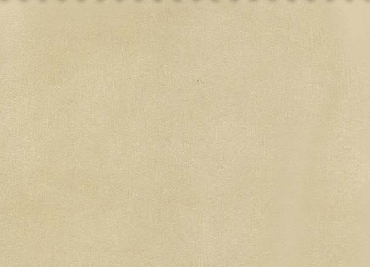 Essentials 40 BAKSHI Fabric