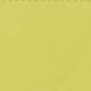 Essentials 40 BAKSHI Fabric