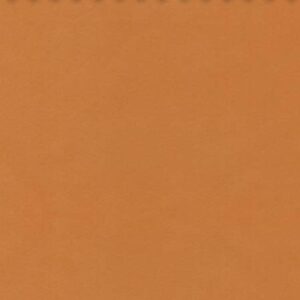 Essentials 40 BAKSHI Fabric