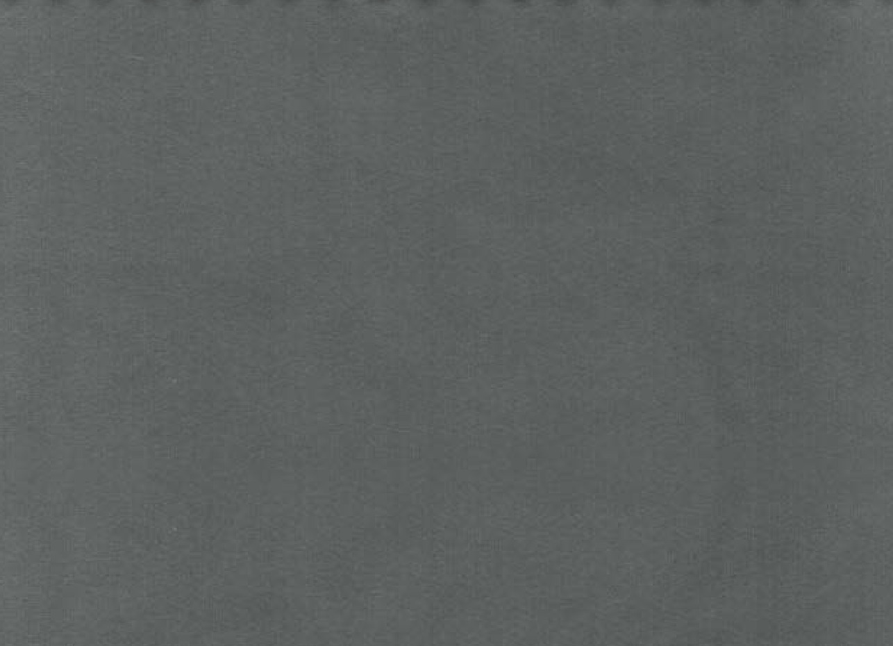 Essentials 40 BAKSHI Fabric