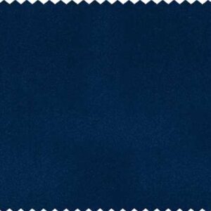 Essentials 47 Vol II BAKSHI Fabric