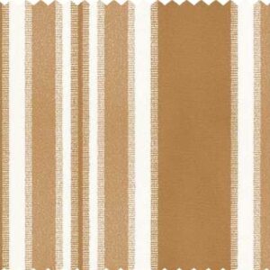 Essentials 47 Vol II ROMAN STRIPE Fabric