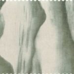 Evolution MISTY MOUNTAINS Fabric