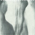 Evolution MISTY MOUNTAINS Fabric