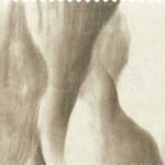 Evolution MISTY MOUNTAINS Fabric