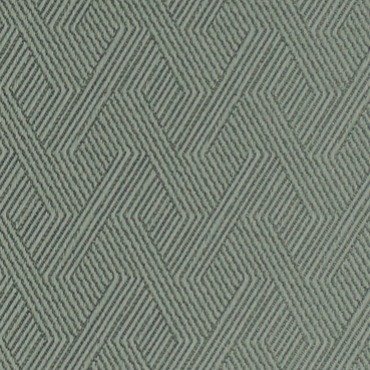 BINI | FERN | RR-1011