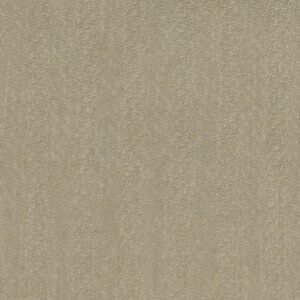 Moksh MOKSH Fabric