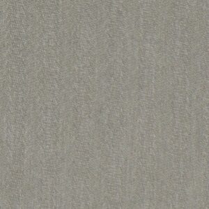 Moksh MOKSH Fabric