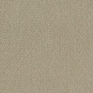 Moksh MOKSH Fabric