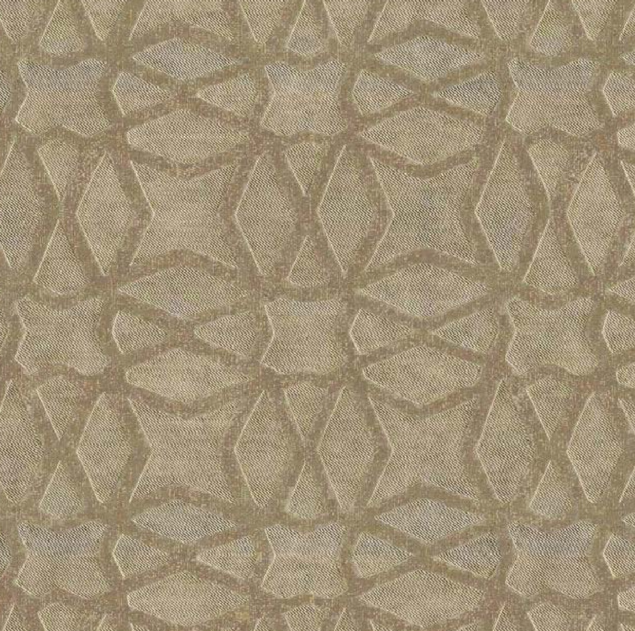 WISH | SANDSHELL | 109726